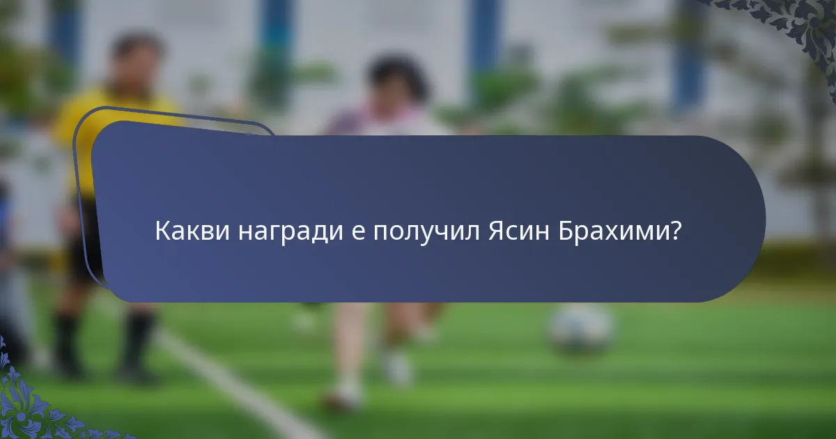 Какви награди е получил Ясин Брахими?