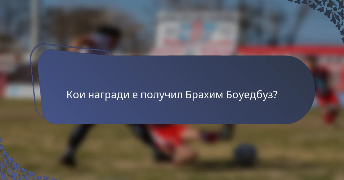 Кои награди е получил Брахим Боуедбуз?
